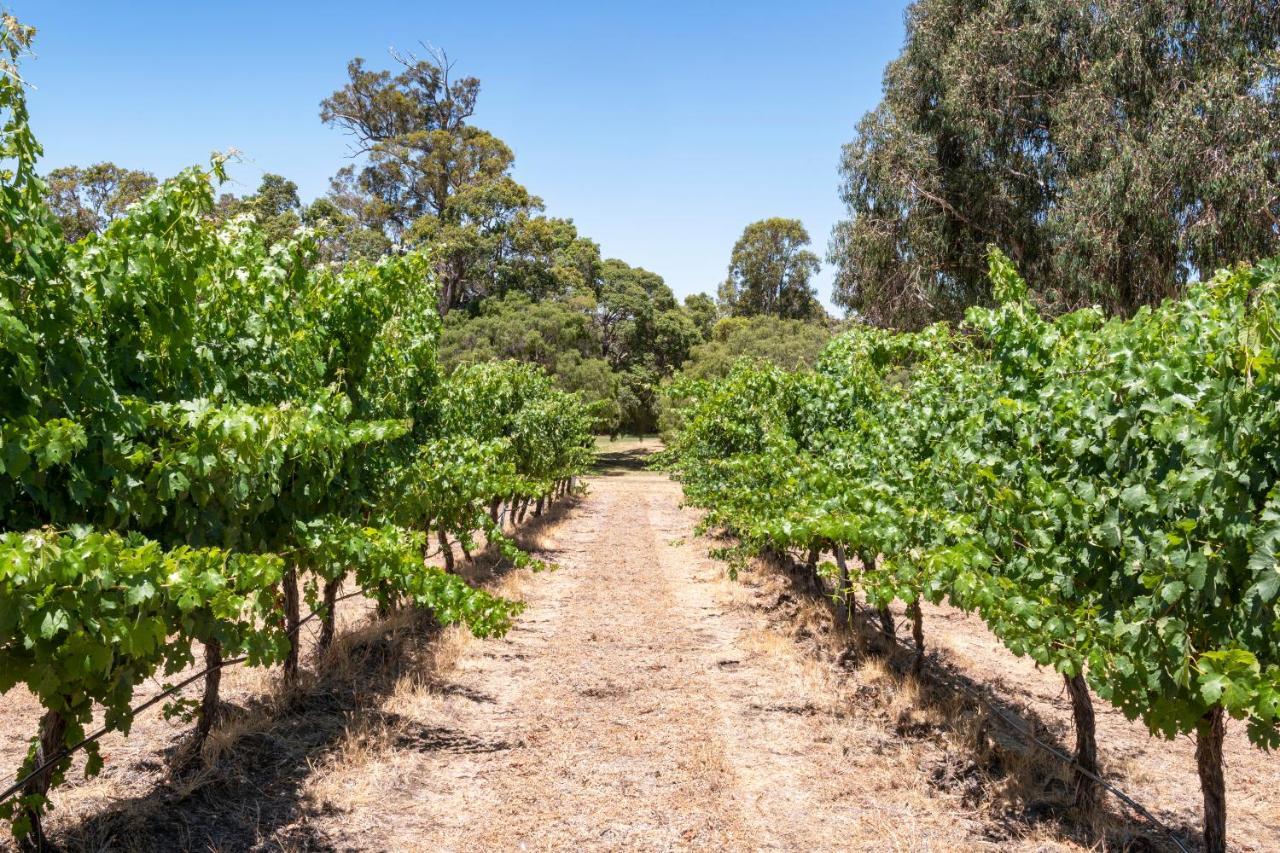 Island Brook Estate Vineyard And Chalets Yelverton Kültér fotó