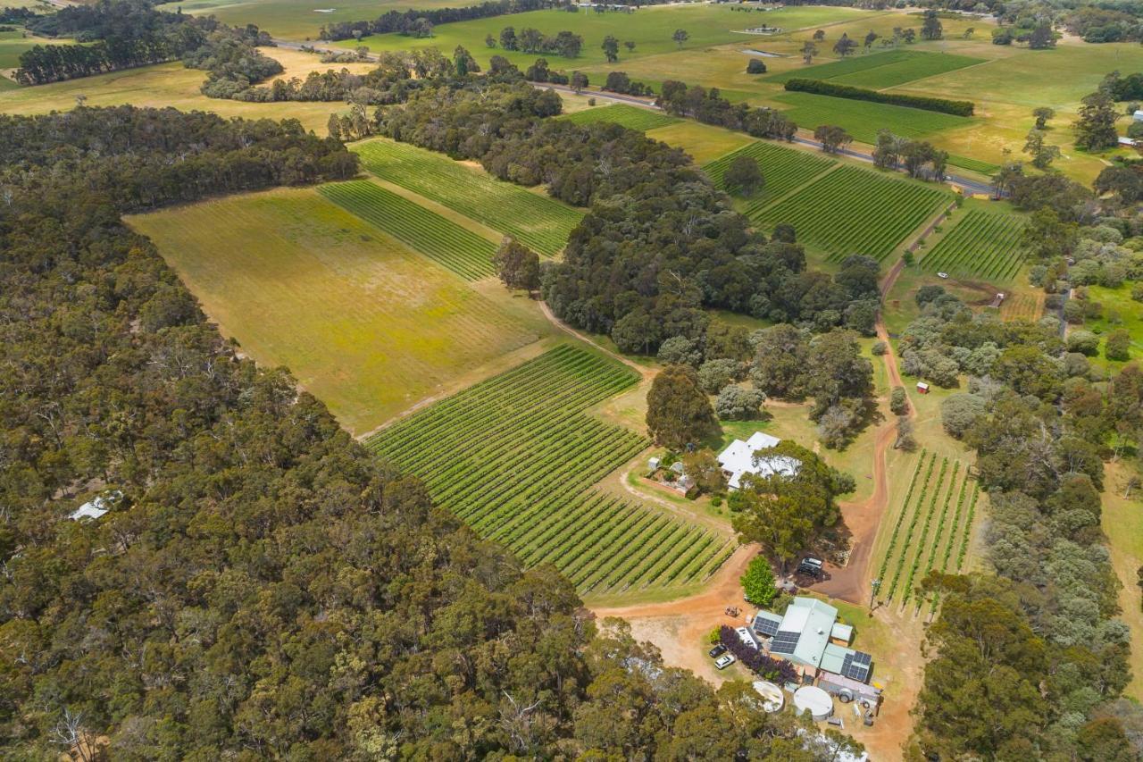 Island Brook Estate Vineyard And Chalets Yelverton Kültér fotó