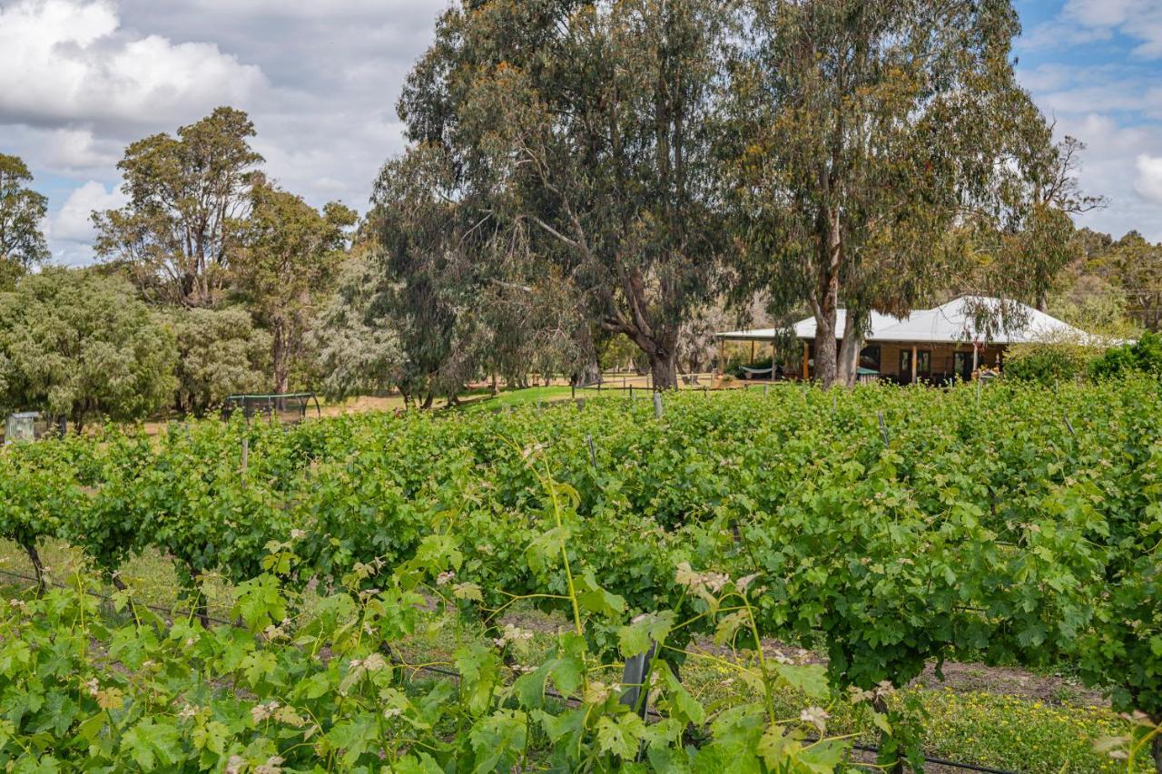 Island Brook Estate Vineyard And Chalets Yelverton Kültér fotó